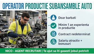operator productie subansamble auto 