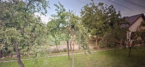 Vand teren intravilan Giarmata jud Timis - imagine 4