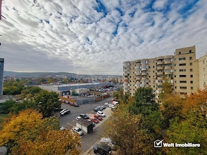 Apartament 1 camera, zona USAMV-PLATINIA - imagine 4
