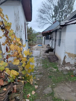 Casă de vânzare 43 mp + Anexa 41 mp, 2142 mp teren - Comuna Carpen - imagine 13