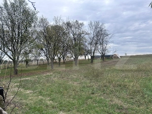 Doua unitati locative cu teren de 4300mp intravilan Jucu de Sus - imagine 14