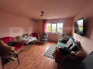 Doua unitati locative cu teren de 4300mp intravilan Jucu de Sus - imagine 10