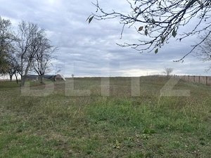 Doua unitati locative cu teren de 4300mp intravilan Jucu de Sus - imagine 13
