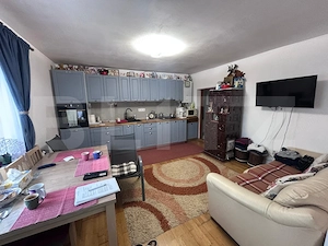 Doua unitati locative cu teren de 4300mp intravilan Jucu de Sus - imagine 4