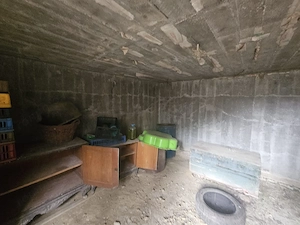 Casă nouă P+1 de vânzare în Bogați, zonă pitorească - imagine 10