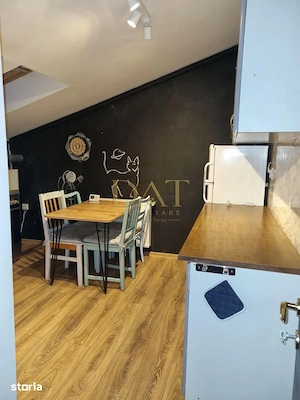 Apartament 1 camera | 52mp | Ingrijit | Cu chiriasi | zona Farmec - imagine 9