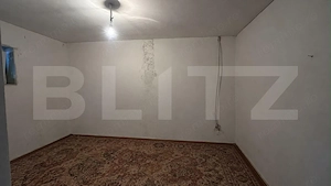 Gospodărie spațioasă de vânzare în Hațeg – 5 camere,teren de 1.600 mp, 3 corpuri - imagine 5