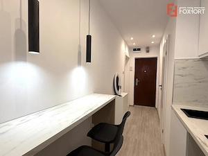 Investitie | Garsoniera 25,5 mp | Renovata complet | Blascovici - imagine 16