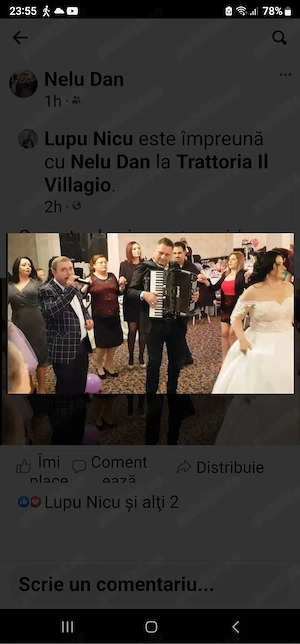 acordeon si voce pentru obiceiuri nunta 