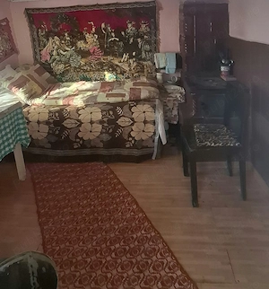 Vând casă bătrânească cu grădină și livadă, centru Lunca Pașcani - imagine 9