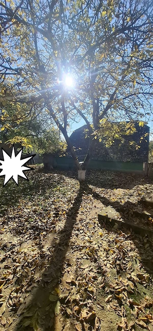 Vând casă bătrânească cu grădină și livadă, centru Lunca Pașcani - imagine 5