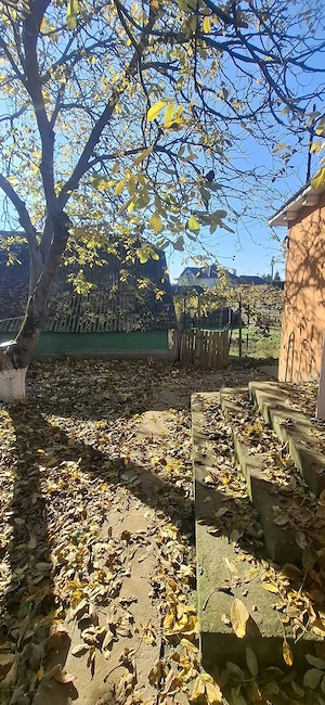 Vând casă bătrânească cu grădină și livadă, centru Lunca Pașcani - imagine 4