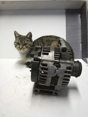 Alternator Citroen, Fiat, Ford, Land Rover, Peugeot 210421 - imagine 2