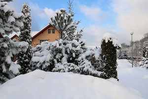 Pensiune de închiriat pentru revelion, 60 locuri, zonă montană - imagine 2