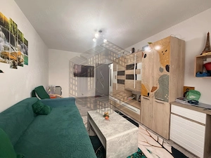Apartament cu 2 camere, decomandat, renovat,de vanzare, zona Lipovei - imagine 5