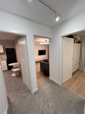 2 camere, renovat, metrou Tineretului – 105.000 € - imagine 4