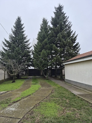 vand imobil casa si teren Puchenii Mari Prahova - imagine 10