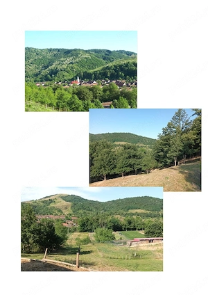 Casă de vânzare și 12.000 m  teren suplimentar - imagine 7