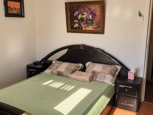 Apartament 4 camere. Vedere Parc Tineretului.  2 bai, 2 balcoane.  5 min Metrou. - imagine 4