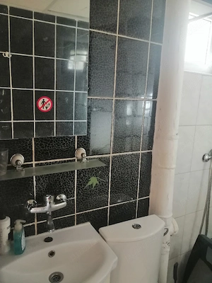 Apartament cu 2 camere  - imagine 5