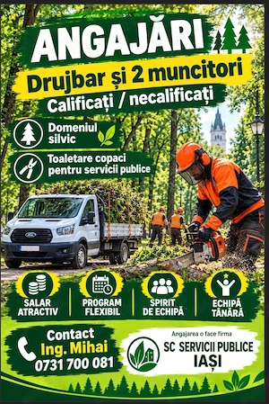 Angajare Drujbar sau 2 muncitori  necalificati, calificati 