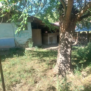 Casa bătrânească Filipeni  - imagine 8