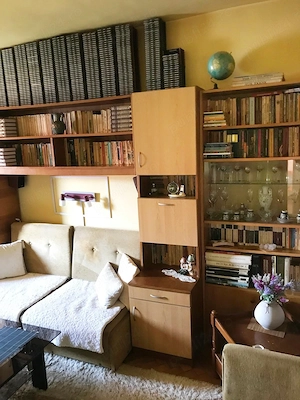 Apartament 2 camere, decomandat, 50 mp, Urmeniș jud. BN - imagine 7