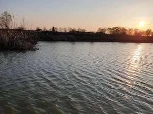 Teren agricol de 9 hectare, inclusiv 1,4 hectare luciu de apă, situat în UAT Boldur, sat Sinersig - imagine 7