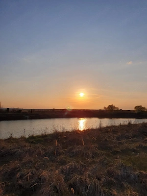 Teren agricol de 9 hectare, inclusiv 1,4 hectare luciu de apă, situat în UAT Boldur, sat Sinersig - imagine 11