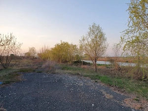 Teren agricol de 9 hectare, inclusiv 1,4 hectare luciu de apă, situat în UAT Boldur, sat Sinersig - imagine 9