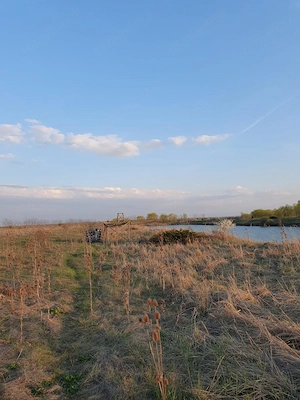Teren agricol de 9 hectare, inclusiv 1,4 hectare luciu de apă, situat în UAT Boldur, sat Sinersig - imagine 3