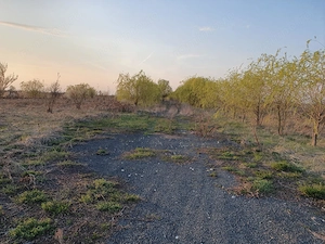 Teren agricol de 9 hectare, inclusiv 1,4 hectare luciu de apă, situat în UAT Boldur, sat Sinersig - imagine 8
