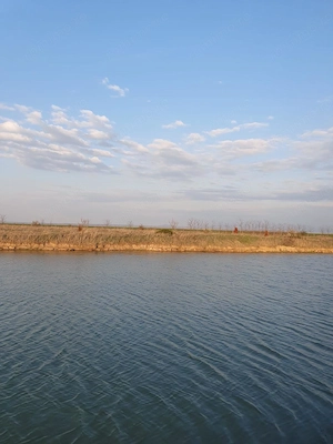 Teren agricol de 9 hectare, inclusiv 1,4 hectare luciu de apă, situat în UAT Boldur, sat Sinersig - imagine 5