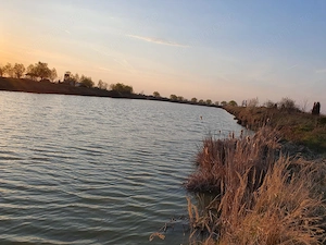 Teren agricol de 9 hectare, inclusiv 1,4 hectare luciu de apă, situat în UAT Boldur, sat Sinersig - imagine 10