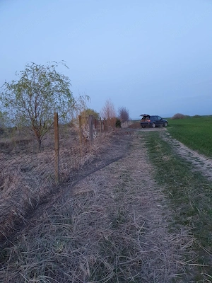 Vând 9 ha teren agricol cu 1,4 ha luciu apa  - imagine 5
