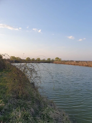 Teren agricol de 9 hectare, inclusiv 1,4 hectare luciu de apă, situat în UAT Boldur, sat Sinersig - imagine 14