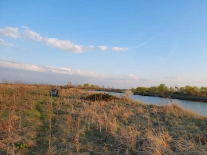 Vând 9 ha teren agricol cu 1,4 ha luciu apa  - imagine 2