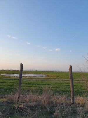 Teren agricol de 9 hectare, inclusiv 1,4 hectare luciu de apă, situat în UAT Boldur, sat Sinersig - imagine 12