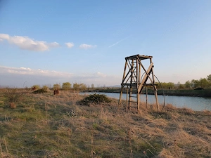 Teren agricol de 9 hectare, inclusiv 1,4 hectare luciu de apă, situat în UAT Boldur, sat Sinersig - imagine 2
