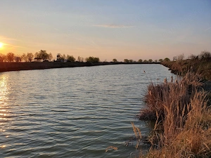 Teren agricol de 9 hectare, inclusiv 1,4 hectare luciu de apă, situat în UAT Boldur, sat Sinersig - imagine 13