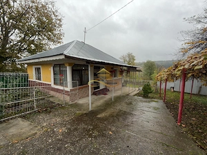 De vanzare casa Blagesti Bacau - imagine 2