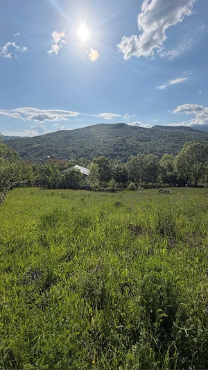 Teren intravilan cu priveliste superba la munte in Valea Doftana 