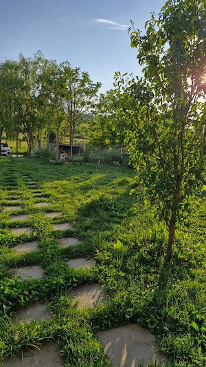 Casă modernă 3 camere , curte generoasă   Zonă liniștită în Moristi - imagine 9