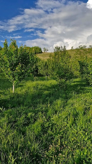 Casă modernă 3 camere , curte generoasă   Zonă liniștită în Moristi - imagine 10