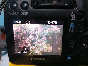 Canon EOS 1000D + obiectiv 18 55 mm 