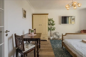 Apartament 1 cameră ultracentral, vizavi de Parcul Botanic | Airbnb 4.96 5 | acord vecini semnat - imagine 4
