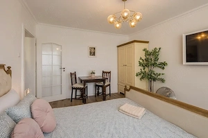 Apartament 1 cameră ultracentral, vizavi de Parcul Botanic | Airbnb 4.96 5 | acord vecini semnat - imagine 10