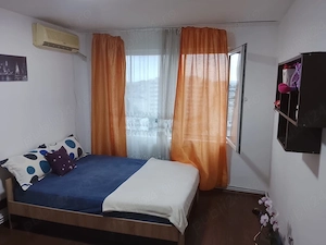 Apartament Micro 6 langa Restaurantul Vatra - imagine 2