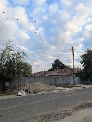 Vand teren intravilan suprafața de 800mp, deschidere 20m si lungime 40m. Gropeni-Braila-20.000  - imagine 4