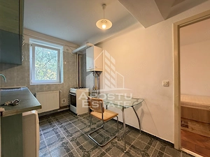 Apartament cu 2 camere de închiriat, Pet friendly - Ultracentral - imagine 6